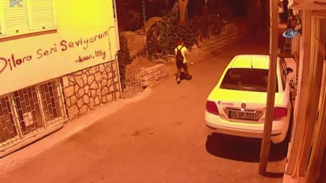 Antalya'da Kan Donduran Görüntü...yavru Kedi Kafası ve Bacakları Kesilmiş Halde Bulundu