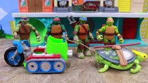 Teenage Mutant Ninja Turtles Meet Little Live Pets Toy 5th Ninja Turtle Francesco Parody