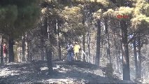 Tekirdağ'da 10 Hektar Ormanlık Yandı