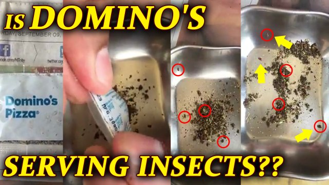 Domino's Pizza oregano sachets infested with live insects, Watch Video | Oneindia News