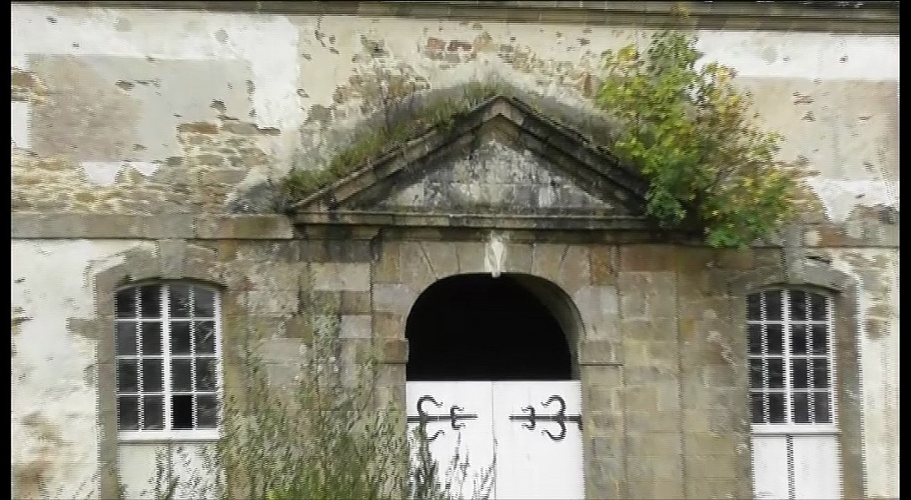 Chouette hulotte au château de Lorge