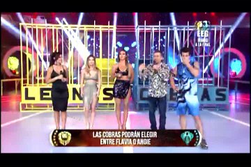 Flavia Laos pasa a ser del Equipo de Los Leones