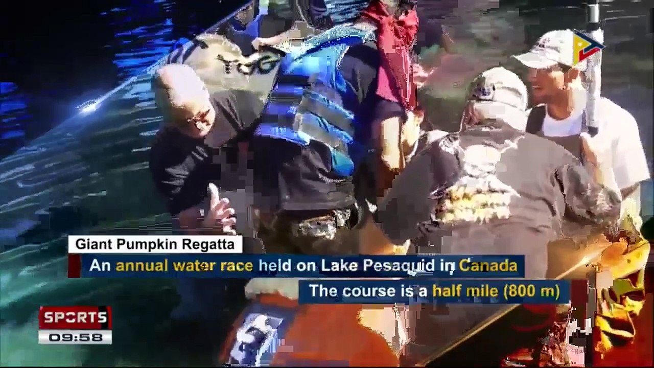 #WTFACTS: Giant Pumpkin Regatta