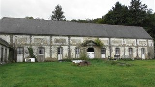 Chouettes effraies au château de Lorge