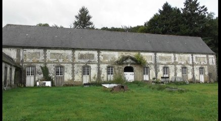 Chouettes effraies au château de Lorge