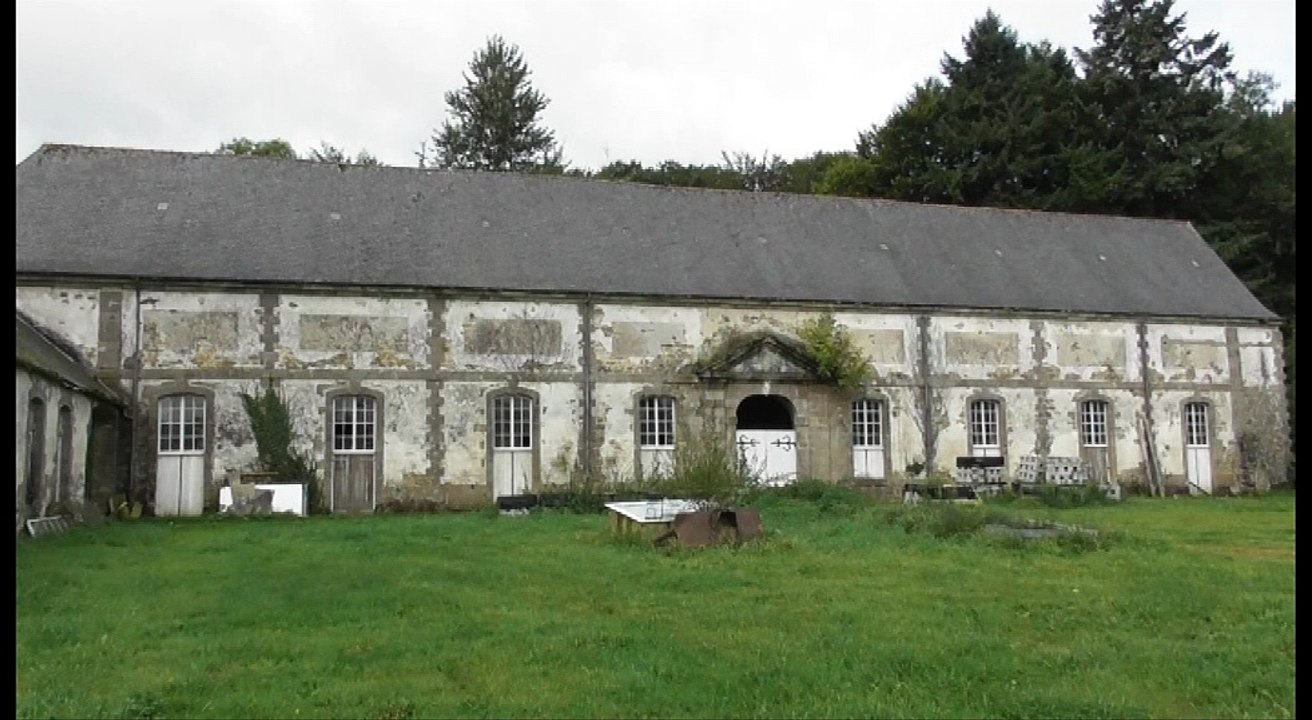 Chouettes effraies au château de Lorge