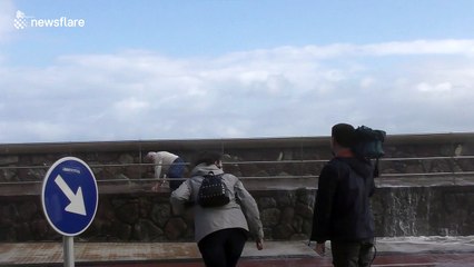 TV reporter runs to help elderly man hit by huge wave in San Sebastian