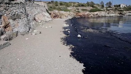 Yunan Adasında Çevre Felaketi - Salamina