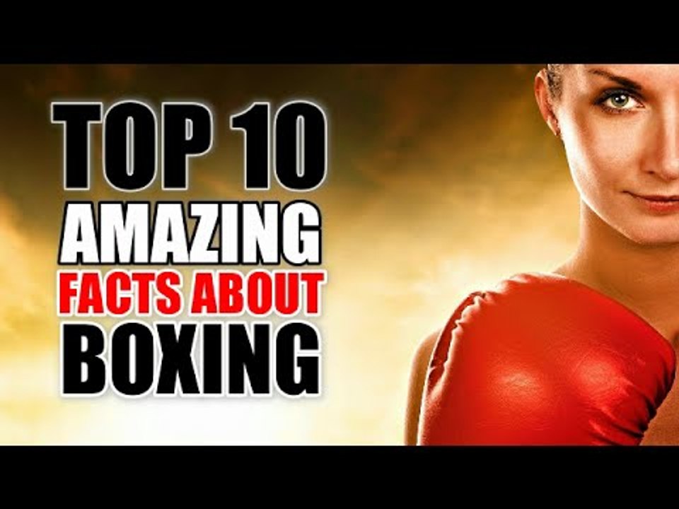 Top 10 Amazing Facts About Boxing video Dailymotion