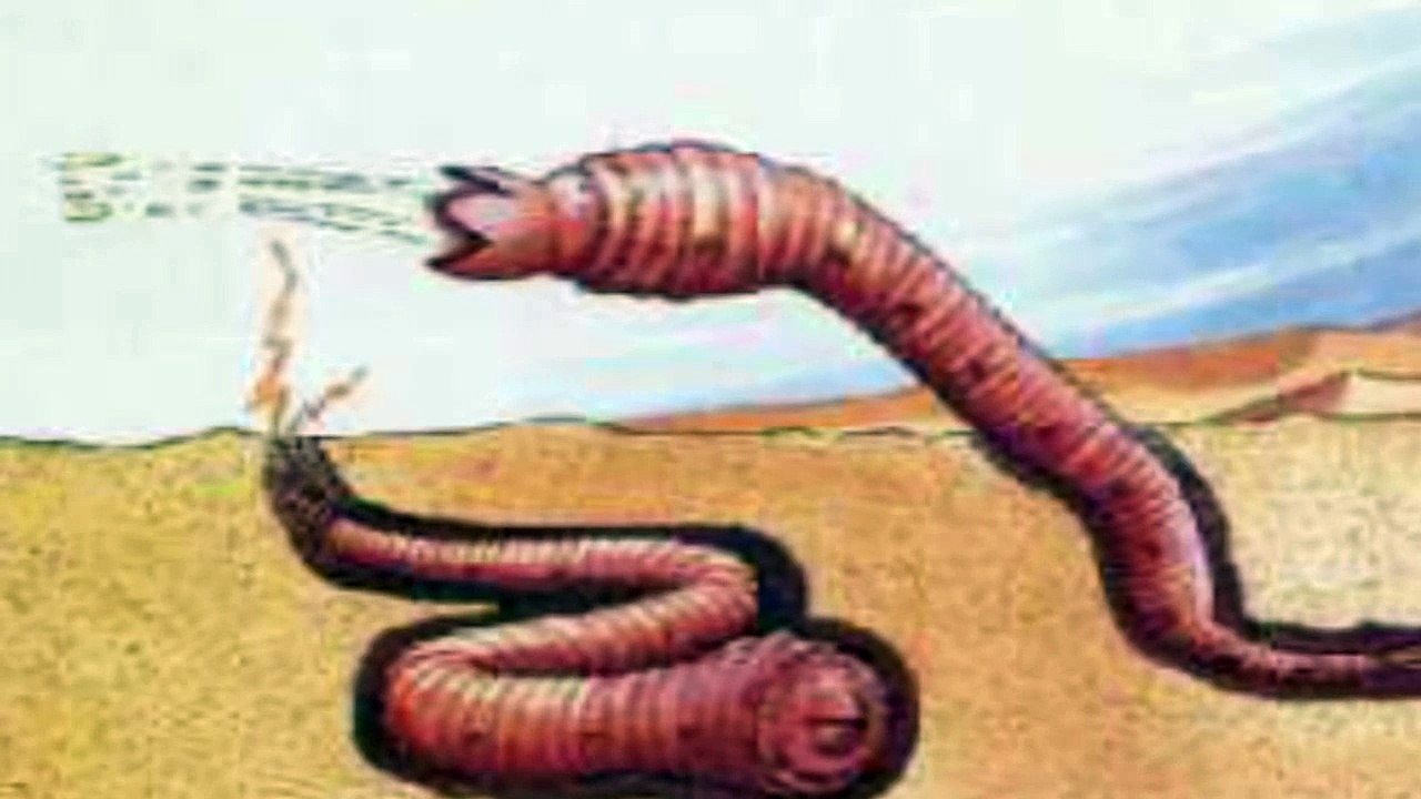Bestiary: The Mongolian Death Worm