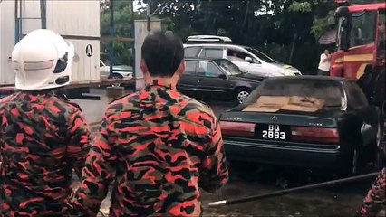 Cocodrilo gigante a la fuga en Malasia