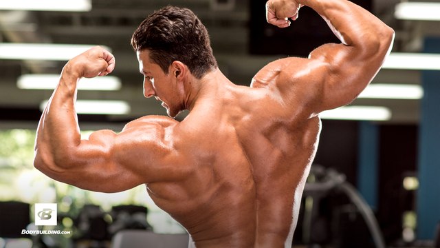 IFBB Pro Sadik Hadzovic's Olympia Back Workout