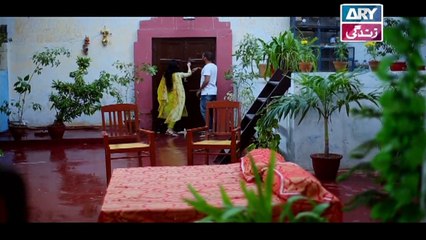 Zindaan Episode 17 In High Quality on Ary Zindagi 12th September 2017