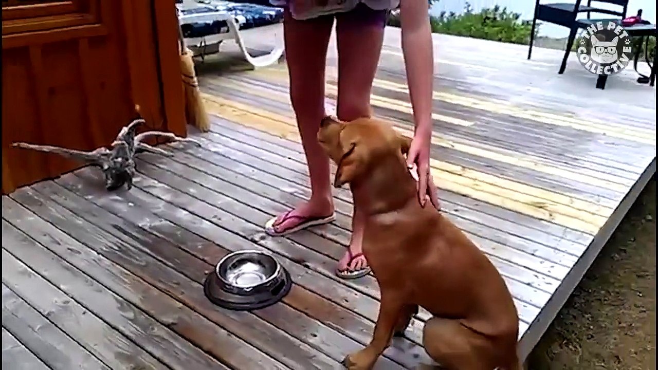 funny vines funny vines  funny vines  funny vines  funny vines