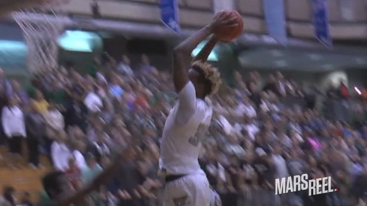 Wendell Carter Jr. Official Senior Mix! No.1 Ranked PF In The COUNTRY!