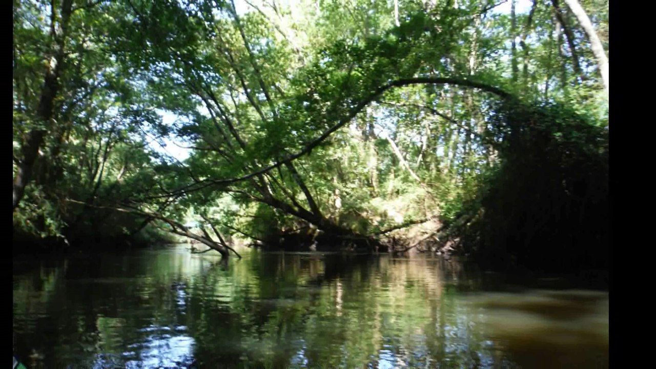 L'Eyre I
