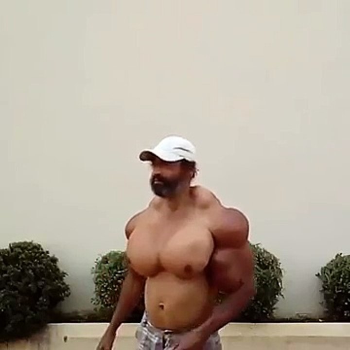 Pectoraux au synthol