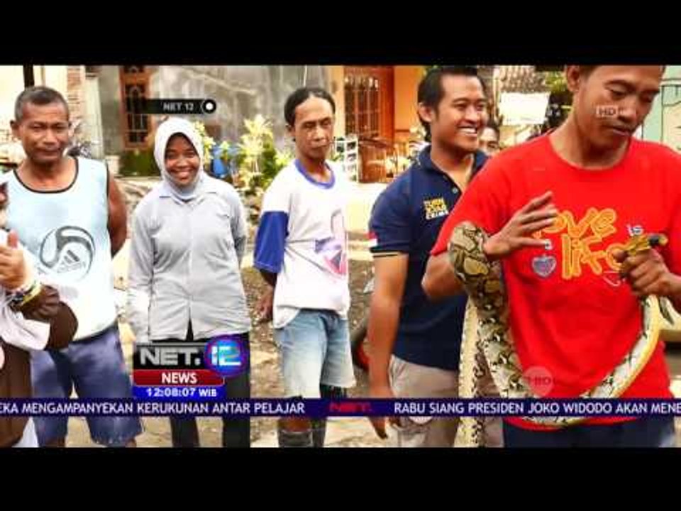 Warga Tangkap Ular Sanca di Plafon Kamar Mandi - NET12
