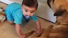 Dog attacked a kid right in front of his mother