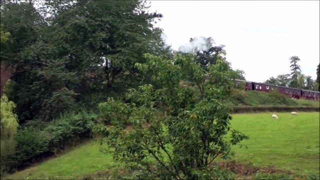 Steam Engine chuffing over a Viaduct in the United Kingdom