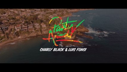 Charly Black - Party Animal