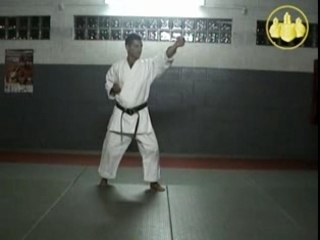 Kihon Shito Ryu