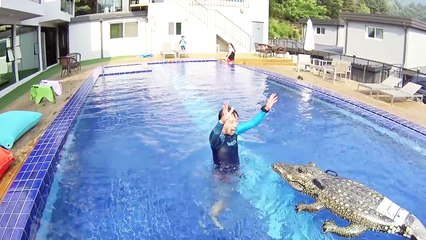 하루 50만원 키즈 풀빌라 펜션 숙소는 어떨까? 아기 너무 좋아하는 수영장 가평 도도 키즈 풀빌라 가족 여행 놀이 카봇 또봇 미끄럼틀 거대 공룡 뽀로로 물총