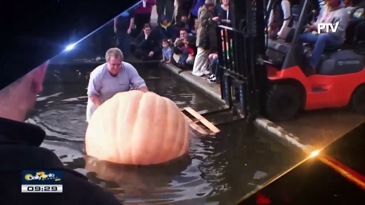 #WTFACTS: Giant Pumpkin Regatta