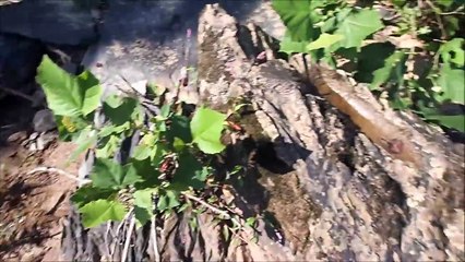 Metal Detecting And Camping On The River: Part Two