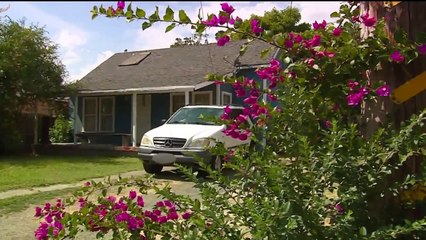 Sacramento Police K-9 Slashed by Suspect on Violent Rampage