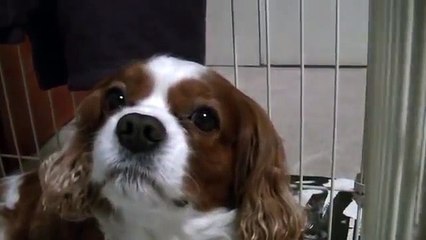ママが大好き　重村浩臣 (8)