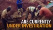 Indigenous People Killed By Miners, Brazil's Gov't Investigates