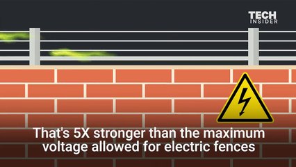 Here's how much damage a stun gun does to your brain and body