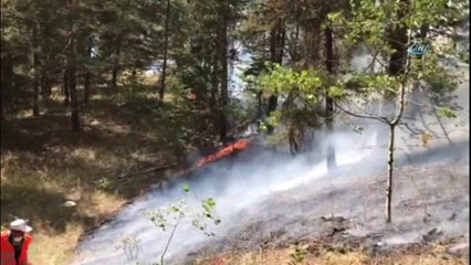 Sarıkamış Ormanları Yanmaya Devam Ediyor