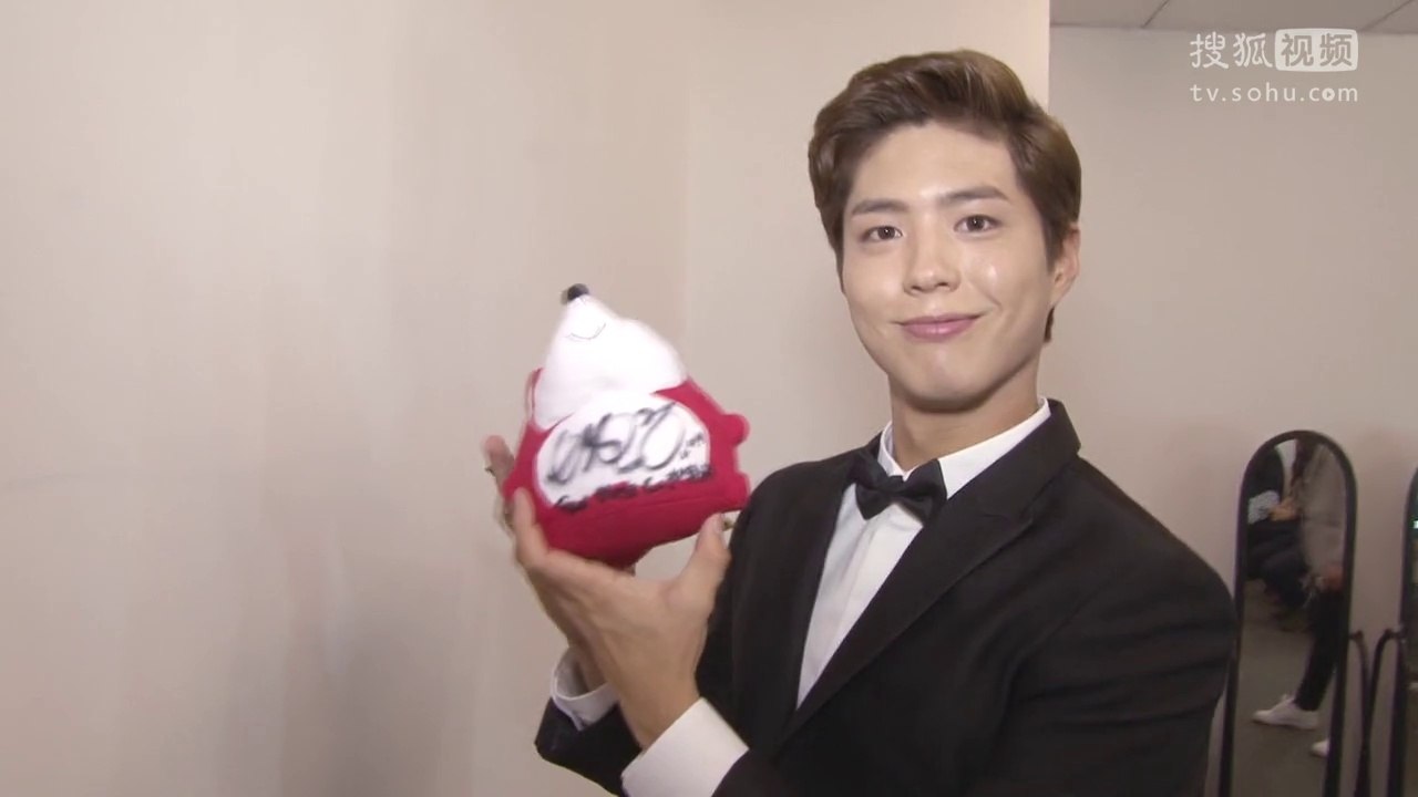 【專訪】160412 搜狐視頻專訪朴寶劍