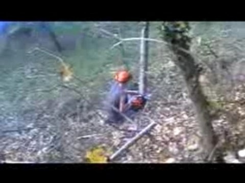 Stihl ms 441 in french