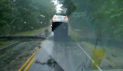 Dev ağaç cipin üzerine böyle devrildi