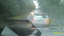 Cet automobiliste se prend un arbre en pleine tempête... La mort n'était pas loin