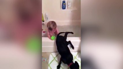 Ce bébé adore prendre son bain avec son chien !
