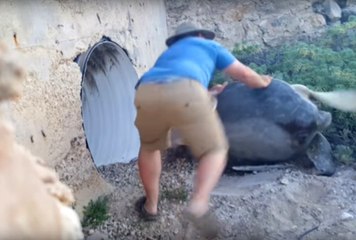 Dev Deniz Kaplumbağasını Sıkıştığı Yerden Çıkarmak İçin Seferber Oldu