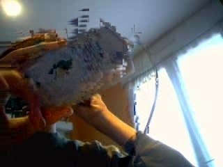 Souris de ma maison
