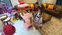 Kediciklere Yeni ev oyun kulesi aldık, eğlenceli çocuk videosu