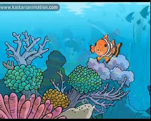 Kutahu Dunia Air (ikan, bintang laut, kuda laut) - Kastari Animation Official