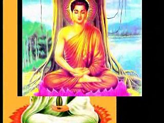 GIEO NHÂN GẶT QUẢ