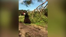 Chainsaw-wielding nun helps out with Hurricane Irma clean-up
