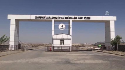 Diyarbakır Hayvancılıkta Hedef Büyüttü