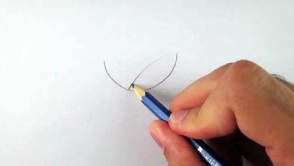 Cómo dibujar una flor de loto