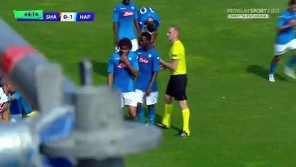 Gianluca Gaetano GOAL HD - Shakhtar Donetsk U19 0 - 1 Napoli U19 - 13.09.2017