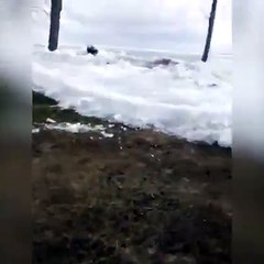 Ice Tsunami - How Ice is taking over Land. Just Amazing