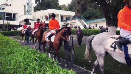 Channel Generic promo